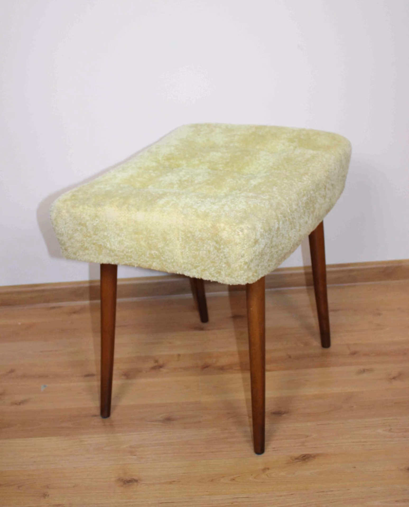 Jak rozmnażają się patyczaki?