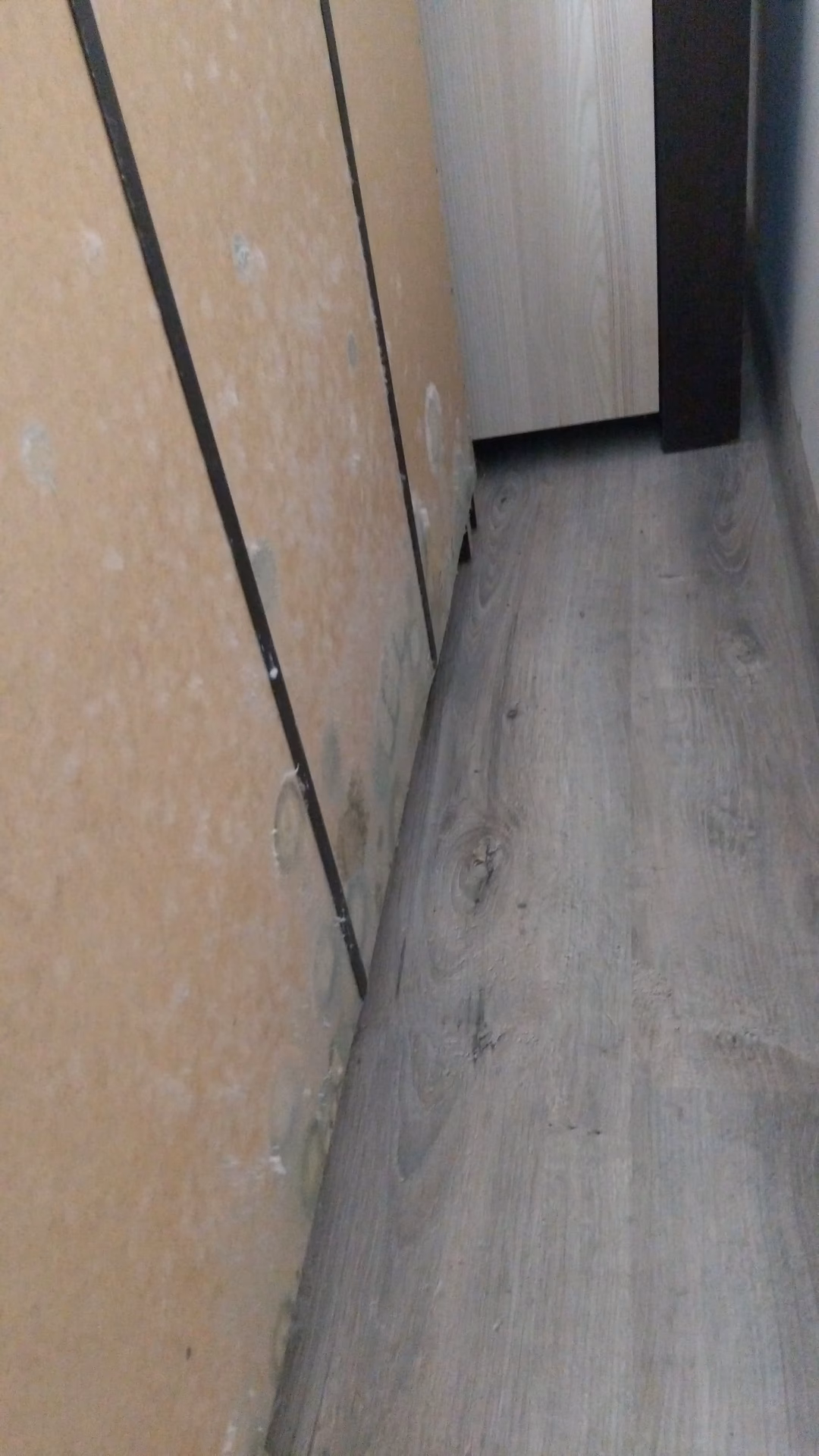 Jak usunąć pleśń z mebli tapicerowanych domowymi sposobami?