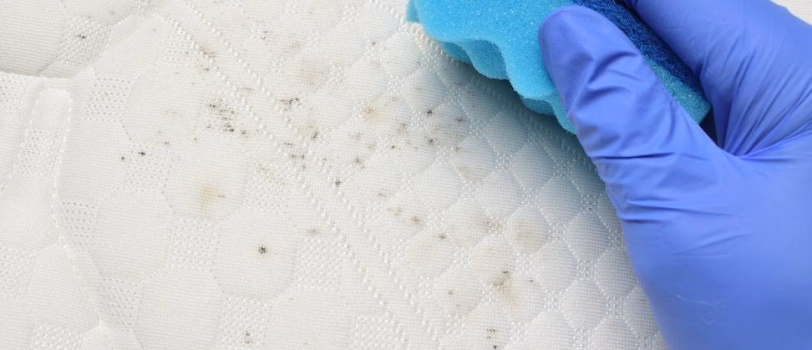 Co powoduje pleśń na meblach?