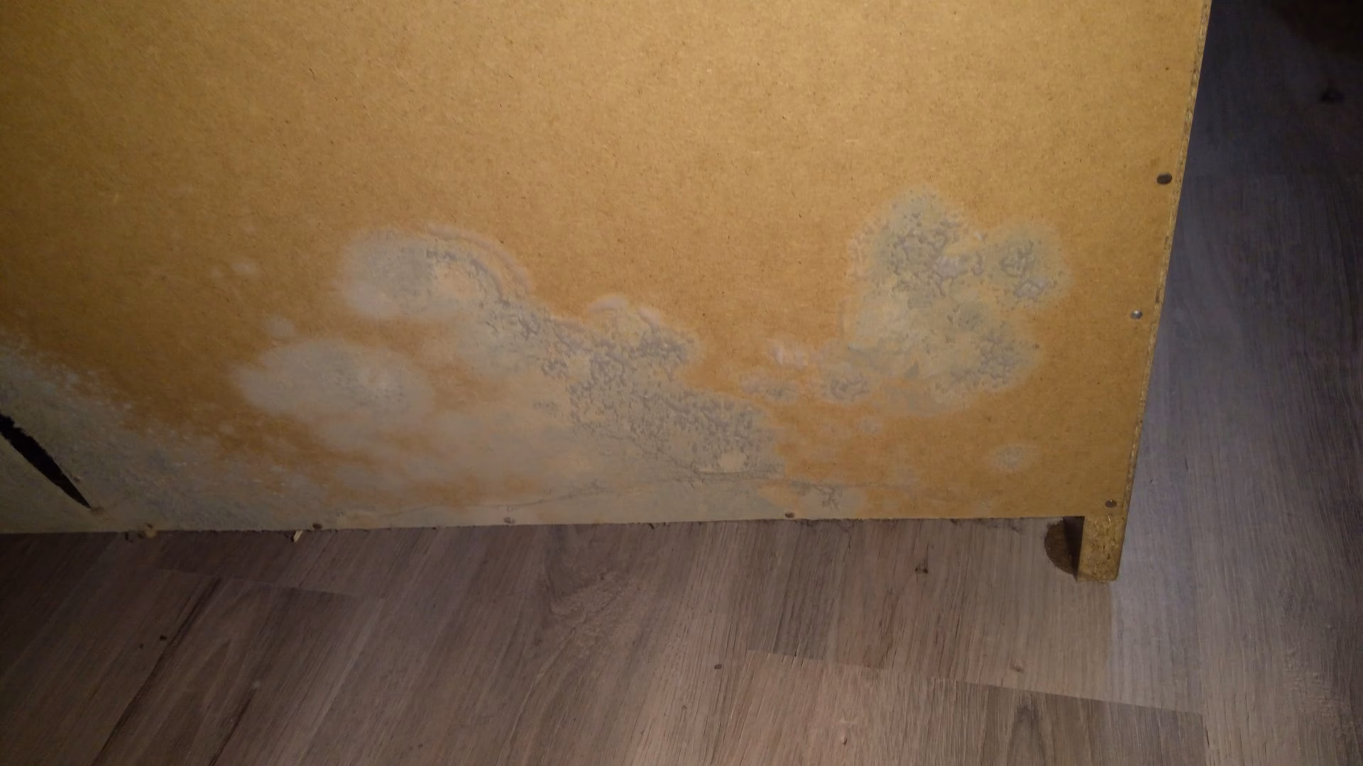 Czym usunąć pleśń z kanapy?