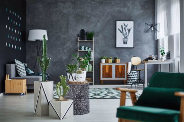 Gdzie w Pleszewie znajdę sklepy z meblami tapicerowanymi?