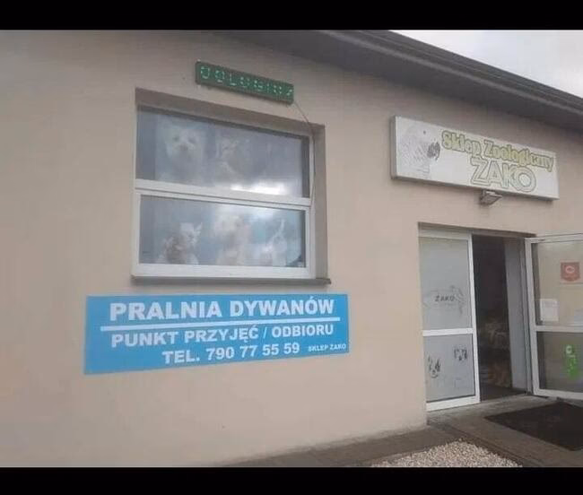Ile kosztuje pranie dywanu w Białej Podlaskiej?