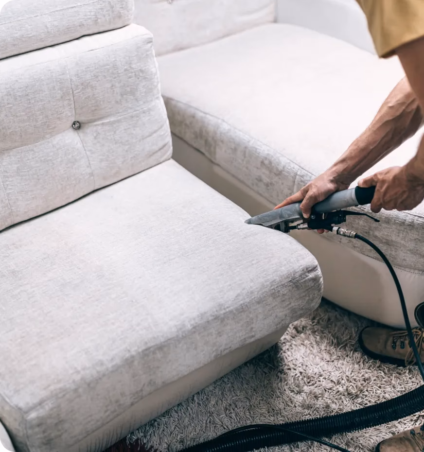 Czy firmy oferują odbiór i dowóz dywanów w Białej Podlaskiej?