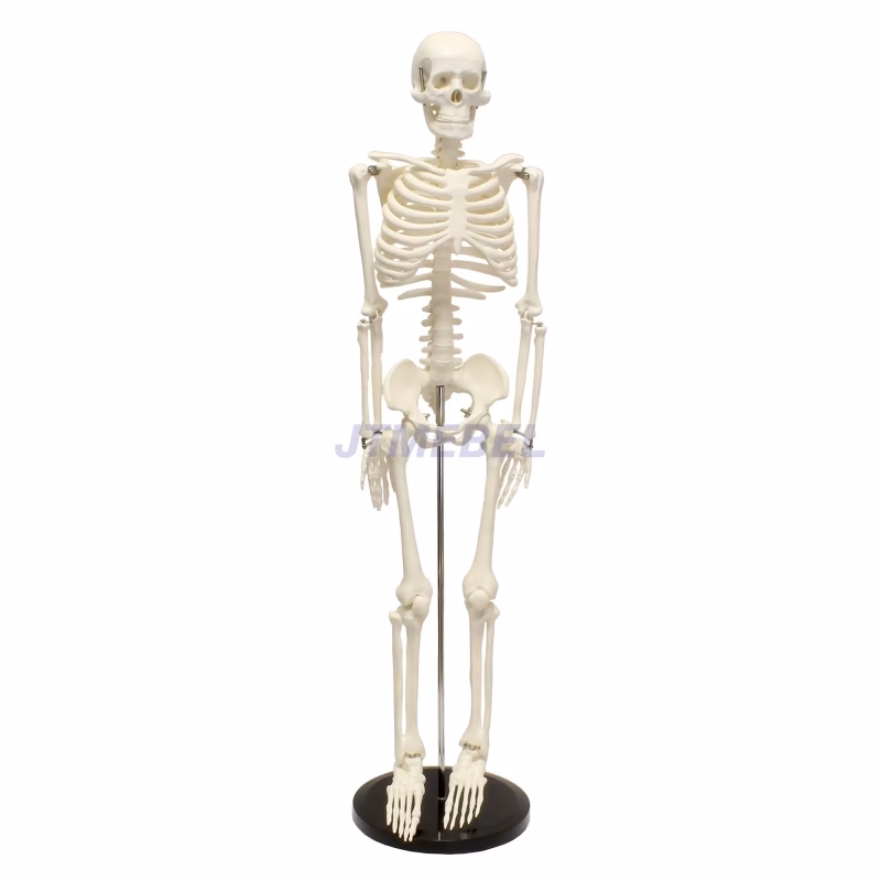 Jak odnowić tapicerkę krzesła?